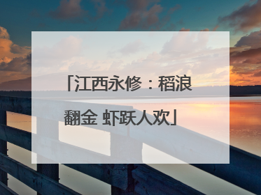 江西永修：稻浪翻金 虾跃人欢