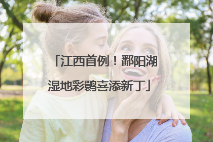 江西首例！鄱阳湖湿地彩鹮喜添新丁