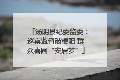 汤阴县纪委监委：巡察监督破梗阻 群众喜圆“安居梦”