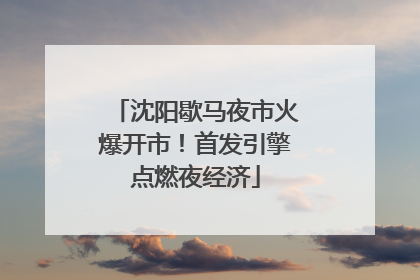 沈阳歇马夜市火爆开市！首发引擎点燃夜经济
