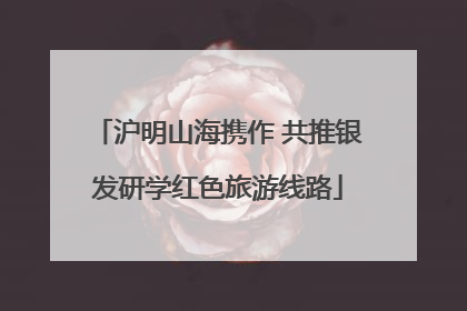 沪明山海携作 共推银发研学红色旅游线路