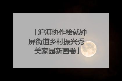沪滇协作绘就钟屏街道乡村振兴秀美家园新画卷