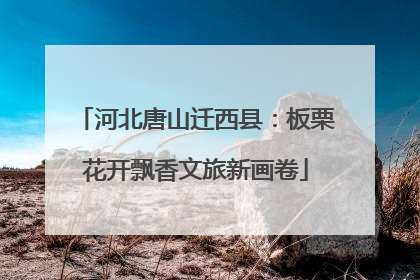 河北唐山迁西县：板栗花开飘香文旅新画卷