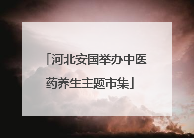 河北安国举办中医药养生主题市集