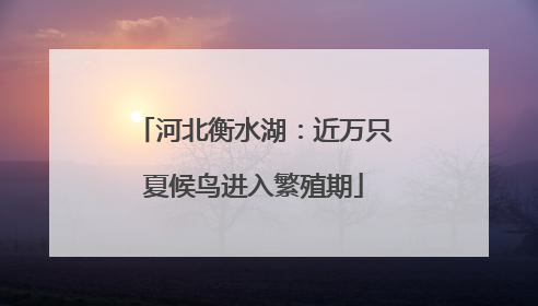河北衡水湖：近万只夏候鸟进入繁殖期