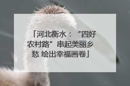 河北衡水：“四好农村路”串起美丽乡愁 绘出幸福画卷