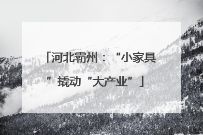 河北霸州：“小家具”撬动“大产业”