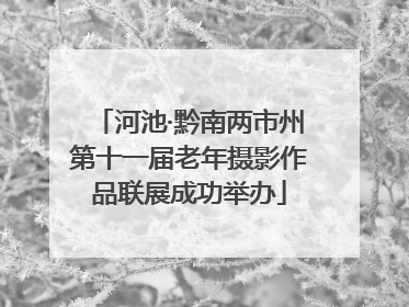 河池·黔南两市州第十一届老年摄影作品联展成功举办