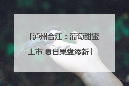 泸州合江：葡萄甜蜜上市 夏日果盘添新
