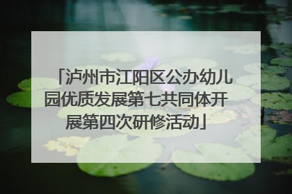 泸州市江阳区公办幼儿园优质发展第七共同体开展第四次研修活动