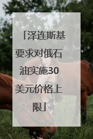 泽连斯基要求对俄石油实施30美元价格上限