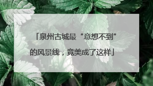 泉州古城最“意想不到”的风景线，竟美成了这样