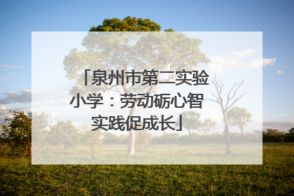 泉州市第二实验小学：劳动砺心智实践促成长