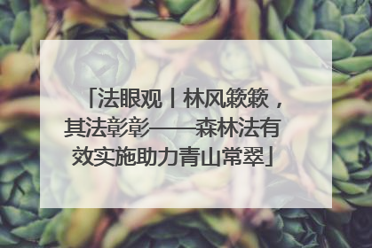法眼观丨林风簌簌，其法彰彰——森林法有效实施助力青山常翠