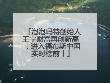 泡泡玛特创始人王宁财富再创新高，进入福布斯中国实时榜前十