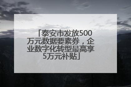泰安市发放500万元数据要素券，企业数字化转型最高享5万元补贴