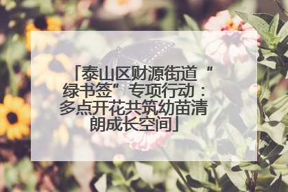 泰山区财源街道“绿书签”专项行动：多点开花共筑幼苗清朗成长空间