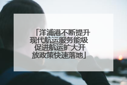 洋浦港不断提升现代航运服务能级 促进航运扩大开放政策快速落地