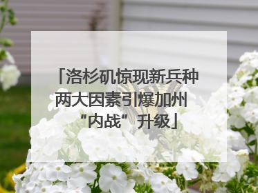 洛杉矶惊现新兵种 两大因素引爆加州“内战”升级