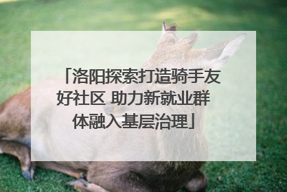 洛阳探索打造骑手友好社区 助力新就业群体融入基层治理
