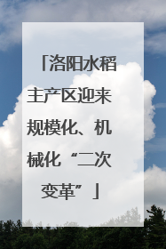 洛阳水稻主产区迎来规模化、机械化“二次变革”