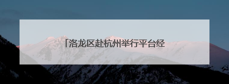 洛龙区赴杭州举行平台经济与文创产业招商推介会