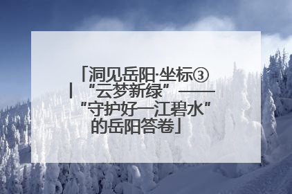 洞见岳阳·坐标③丨“云梦新绿”——“守护好一江碧水”的岳阳答卷