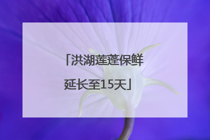 洪湖莲蓬保鲜延长至15天