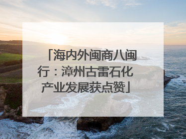 海内外闽商八闽行：漳州古雷石化产业发展获点赞