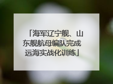 海军辽宁舰、山东舰航母编队完成远海实战化训练