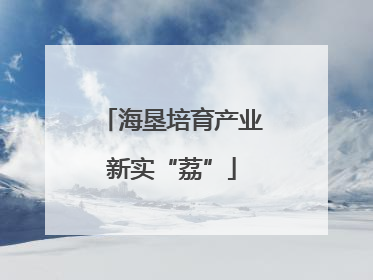 海垦培育产业新实“荔”