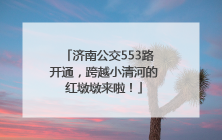 济南公交553路开通，跨越小清河的红墩墩来啦！