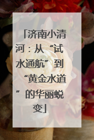 济南小清河：从“试水通航”到“黄金水道”的华丽蜕变