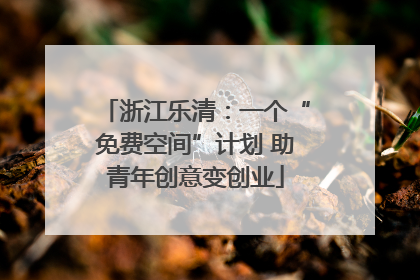 浙江乐清：一个“免费空间”计划 助青年创意变创业