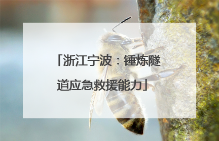 浙江宁波：锤炼隧道应急救援能力