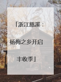浙江慈溪：杨梅之乡开启丰收季
