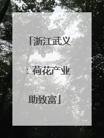 浙江武义：荷花产业助致富