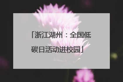 浙江湖州：全国低碳日活动进校园