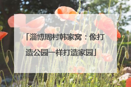 淄博周村韩家窝：像打造公园一样打造家园