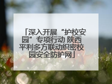 深入开展“护校安园”专项行动 陕西平利多方联动织密校园安全防护网