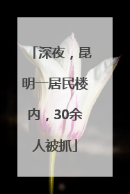 深夜，昆明一居民楼内，30余人被抓