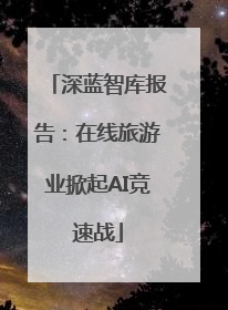 深蓝智库报告：在线旅游业掀起AI竞速战