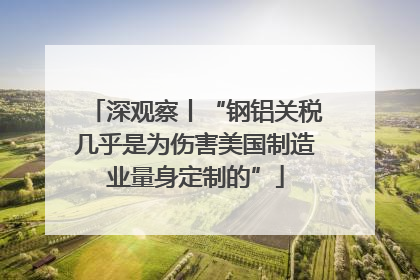 深观察丨“钢铝关税几乎是为伤害美国制造业量身定制的”