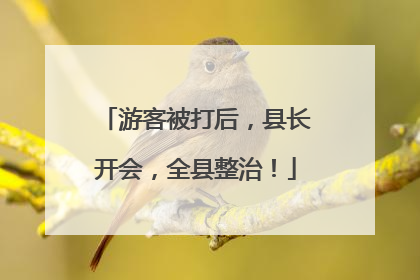 游客被打后，县长开会，全县整治！