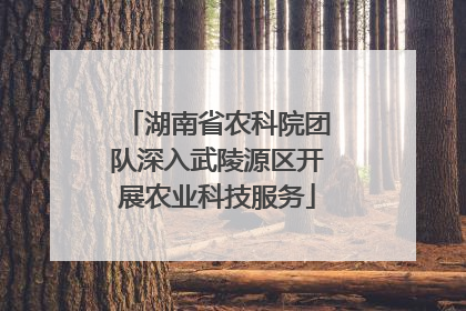 湖南省农科院团队深入武陵源区开展农业科技服务