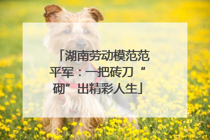 湖南劳动模范范平军：一把砖刀“砌”出精彩人生