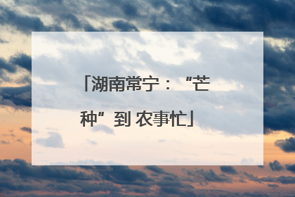 湖南常宁：“芒种”到 农事忙