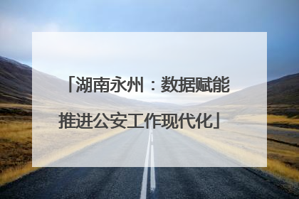 湖南永州：数据赋能推进公安工作现代化