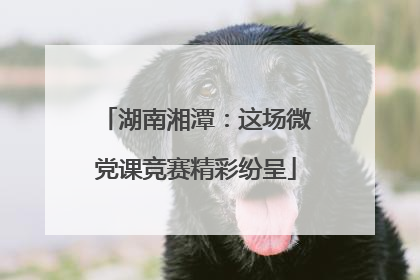 湖南湘潭：这场微党课竞赛精彩纷呈