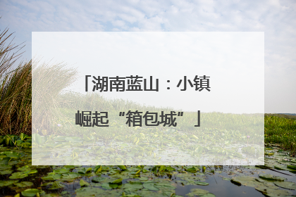 湖南蓝山：小镇崛起“箱包城”